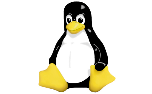 Linux Kernel