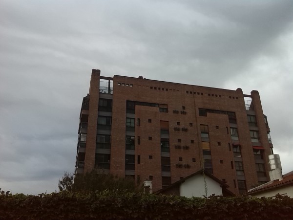 Los detalles, como se observa en el edificio, no poseen muy buena definición.