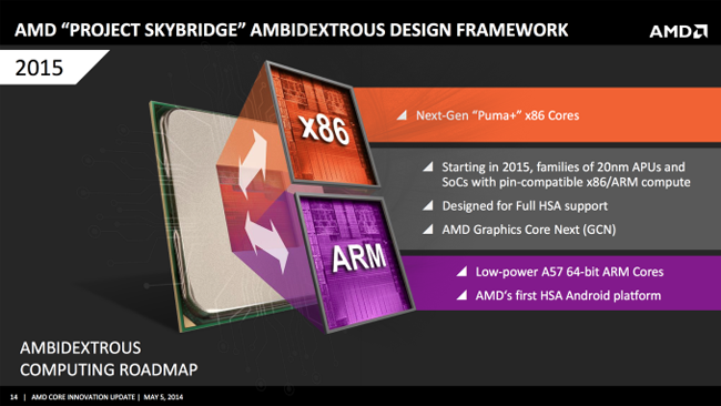 amd-skybridge