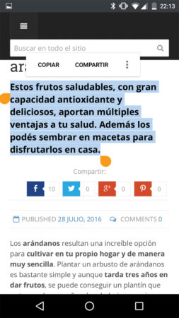 Al seleccionar el texto de un sitio web, aparecerá una barra flotante con algunas opciones para trabajar de forma más cómoda.