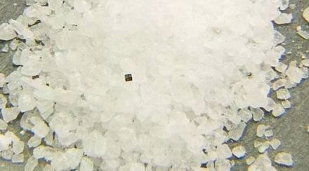 El pequeño cuadrado oscuro entre los granos de sal gruesa; esa es la súper micro computadora de IBM.